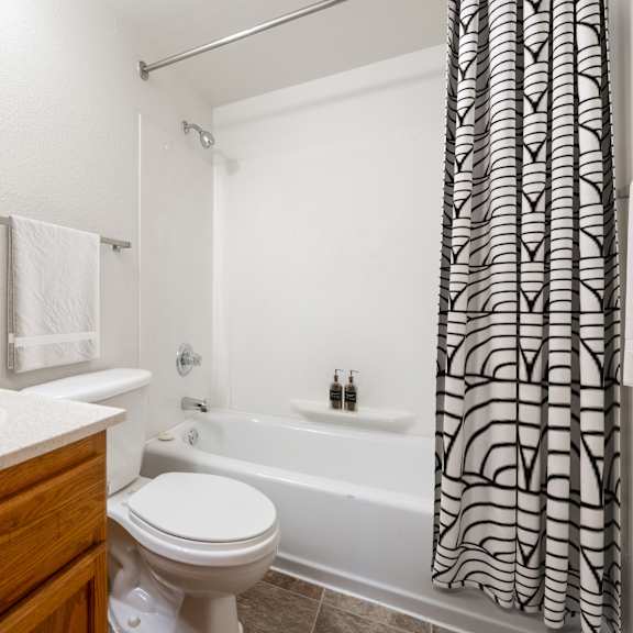 a bathroom with a sink toilet and bathtub at ames lake neighborhood apartments, st. paul, mn