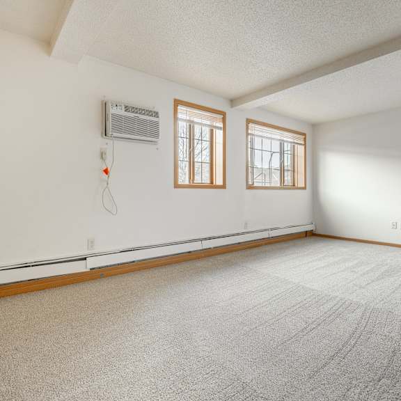 the living room is clean and ready to use at ames lake neighborhood apartments, st. paul, 55106