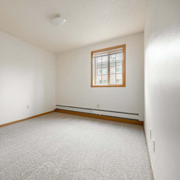 the living room of an empty house with white walls and two windows at ames lake neighborhood apartments, st. paul, mn