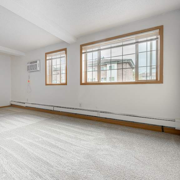 the living room is clean and ready to use at ames lake neighborhood apartments, st. paul, minnesota