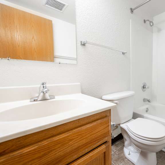 a bathroom with a sink toilet and a bath tub at ames lake neighborhood apartments, st. paul
