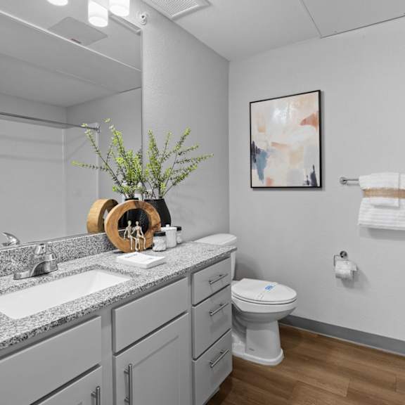a bathroom with a toilet, sink, and a plant at copa flats apartments, maricopa, 85138