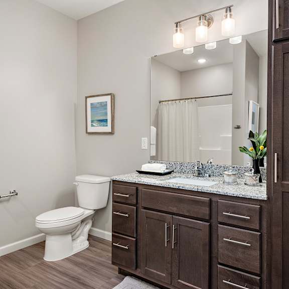luxurious bathroom at decatur landing i & ii, minnesota
