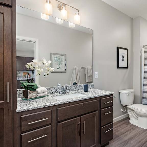 luxurious bathroom at decatur landing i & ii, brooklyn park, 55445