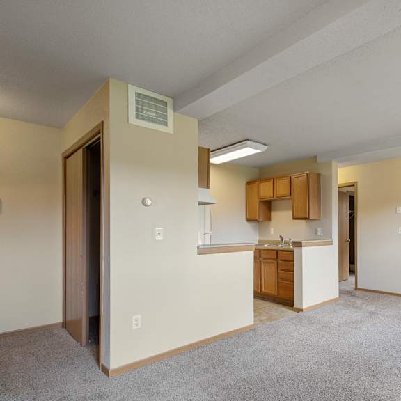 a room with a carpeted floor and a kitchenette in the background at ames lake neighborhood apartments, st paul, minnesota