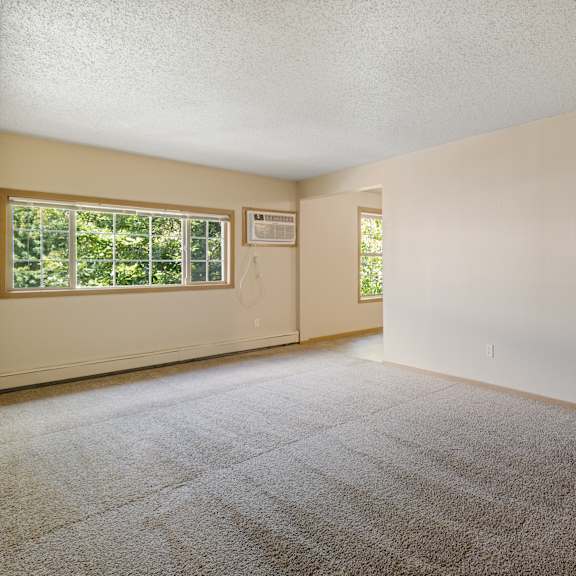 a large empty room with a carpeted floor and a window at ames lake neighborhood apartments, st paul