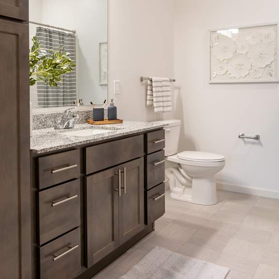 a bathroom with a sink and a toilet and a mirror
