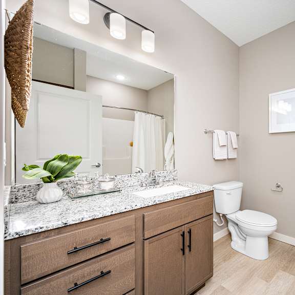spacious bathroom with modern fixtures and towel bars at reserve at settlers ridge apartments, woodbury, 55129