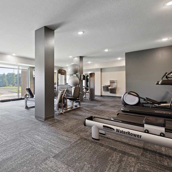 a gym with a row of treadmills and a row of stationary bikes.