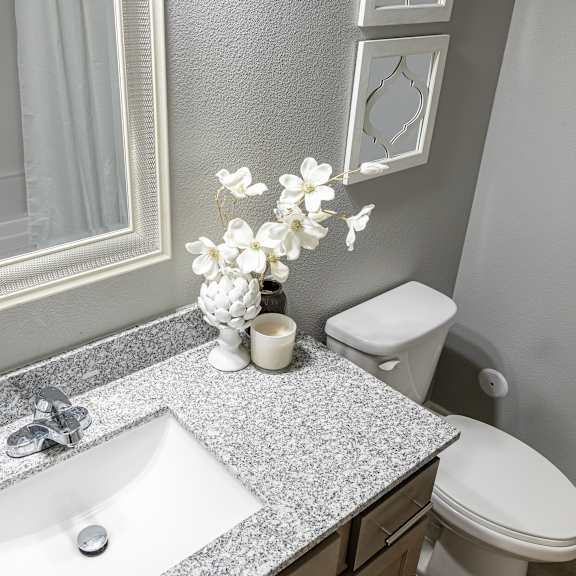 a bathroom with a sink and a toilet and a mirror at technology park apartments, rochester, 55901