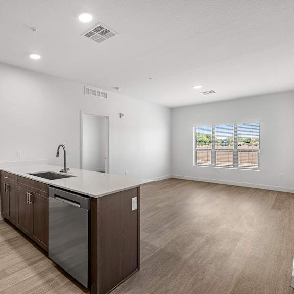 a kitchen with a sink and a dishwasher. overlooking the living room