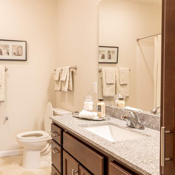 a bathroom with a sink toilet and shower and a mirror