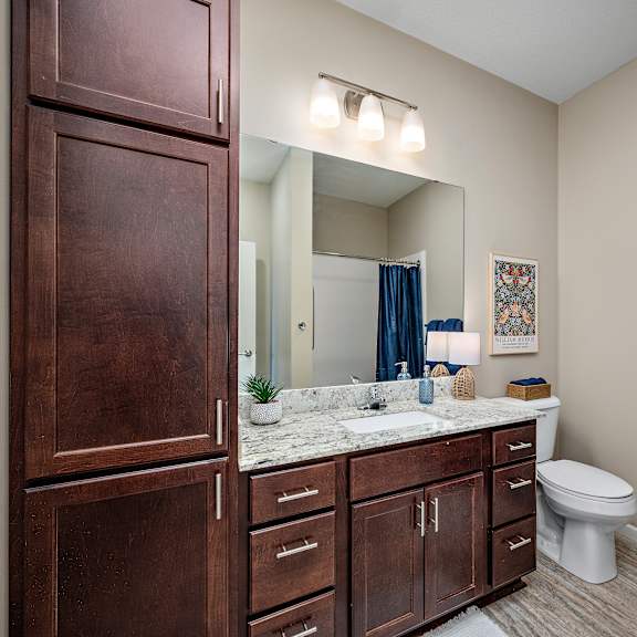 a bathroom with brown cabinets and a white toilet at the winslow 62+ apartments, minnesota