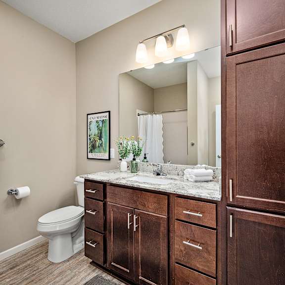 a bathroom with a toilet, sink, and mirror at the winslow 62+ apartments, west st paul, minnesota