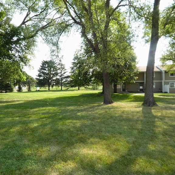 a grassy area with trees and a building in the background.
