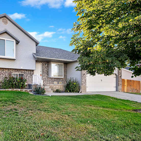 a house with a lawn and a tree