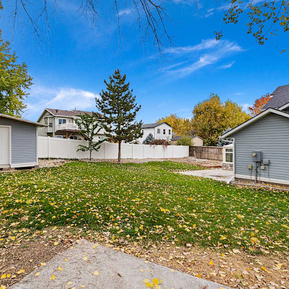 a backyard with a tree, a shed, and a house in the background.