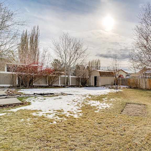 a backyard with a fence and a tree.