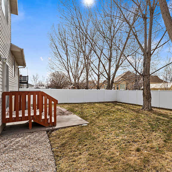 a backyard with a white fence and a tree.
