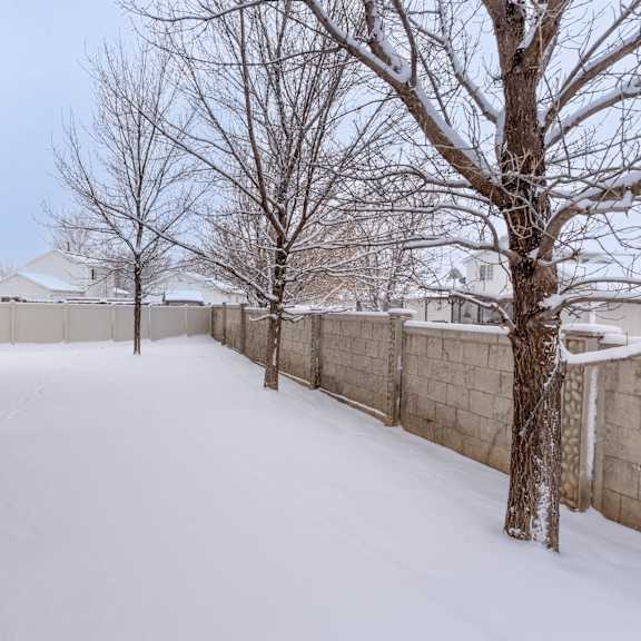 a snow-covered pathway between two buildings.