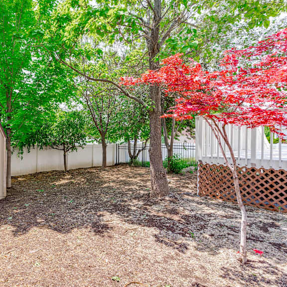 a shed in a backyard with trees and a fence