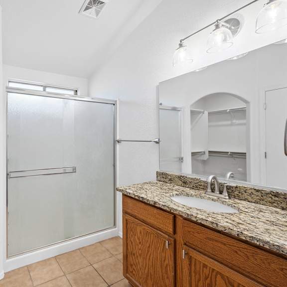 a bathroom with a sink and a shower and a mirror
