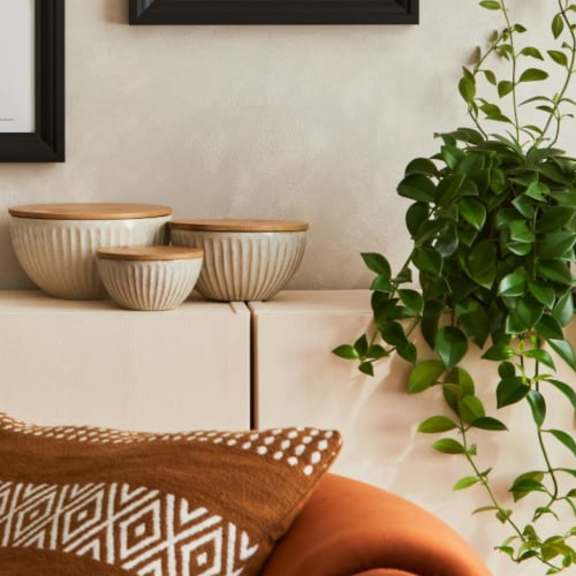 a framed botanical print hangs on a wall above a shelf with bowls and a potted plant.
