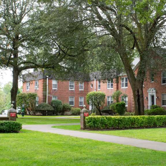 a large tree stands in front of a red brick building.