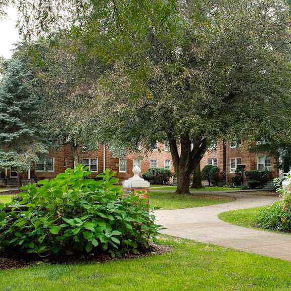 a tree in a yard with a brick building in the background.
