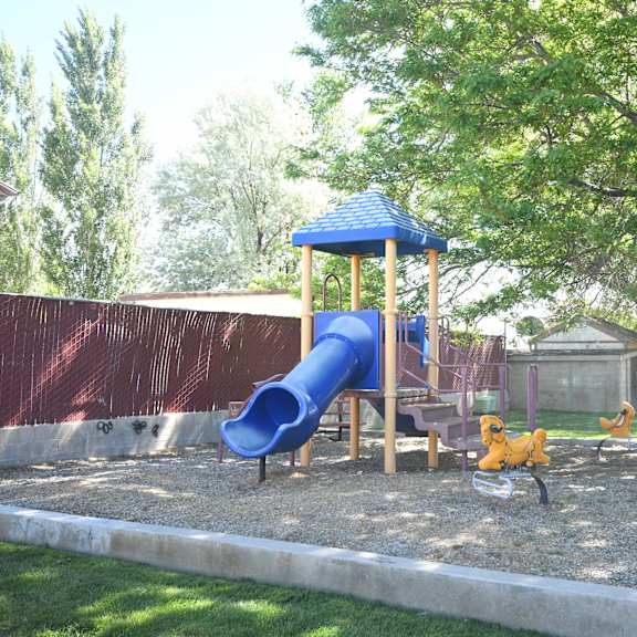 a playground with a blue slide and    two dogs