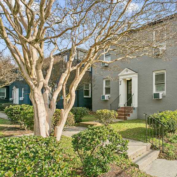 a grey house with a tree in front of it at shipyard shores apartments, newport news, 23607