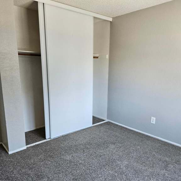 Thumbnail 2 of 12 an empty room with a carpet and a closet