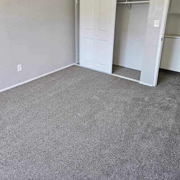 Thumbnail 7 of 12 a bedroom with a closet and a carpeted floor