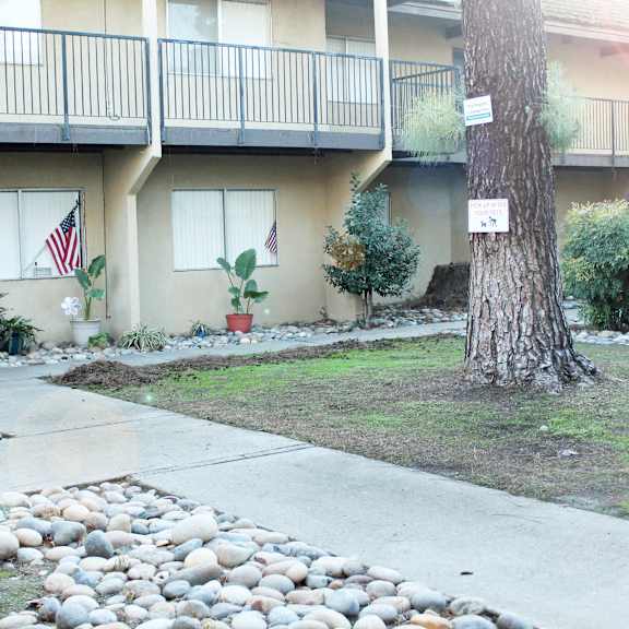 a tree stands next to a building with a balcony.