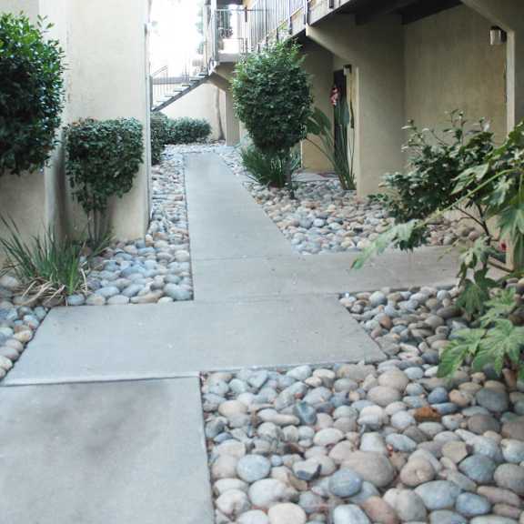 a pathway with rocks and plants on either side leads to a building.