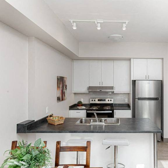 a modern kitchen with stainless steel appliances and a wooden countertop.