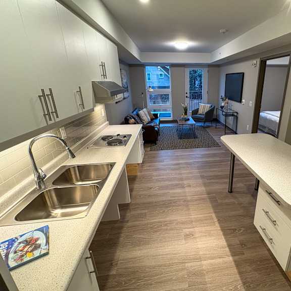 a kitchen with a sink and a counter.