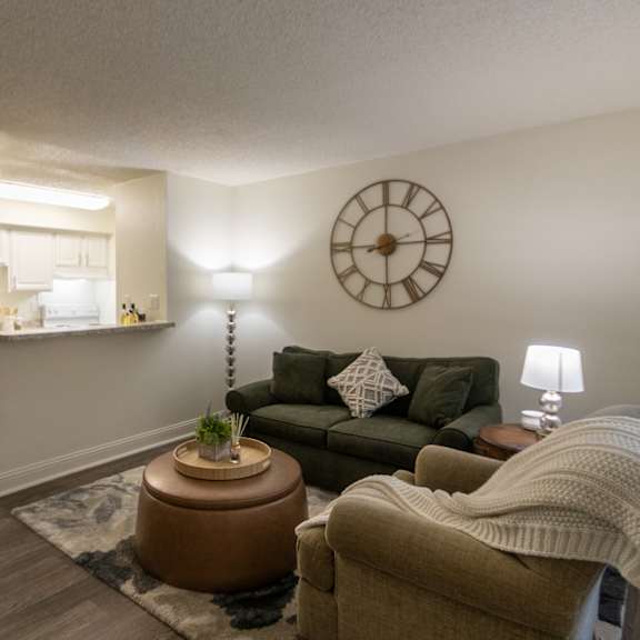 Thumbnail 7 of 22 Gorgeous Living Room at Princeton Court, Dallas, TX
