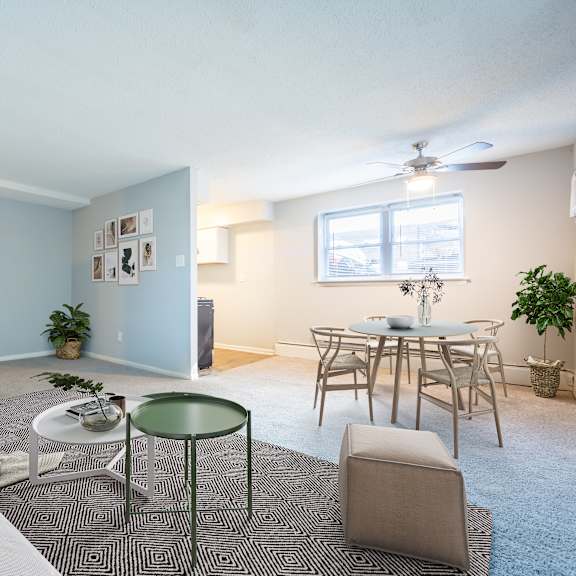 a living room with a grey sofa, a glass table, and a grey rug.