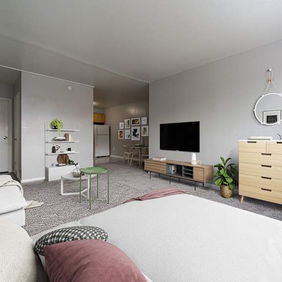 a modern bedroom with a large bed and a flat screen tv.