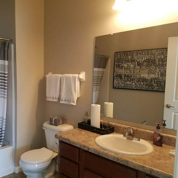 a bathroom with a sink toilet and a shower
