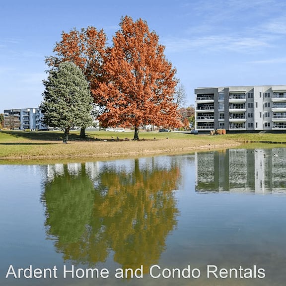 a view of a lake with apartments in the background