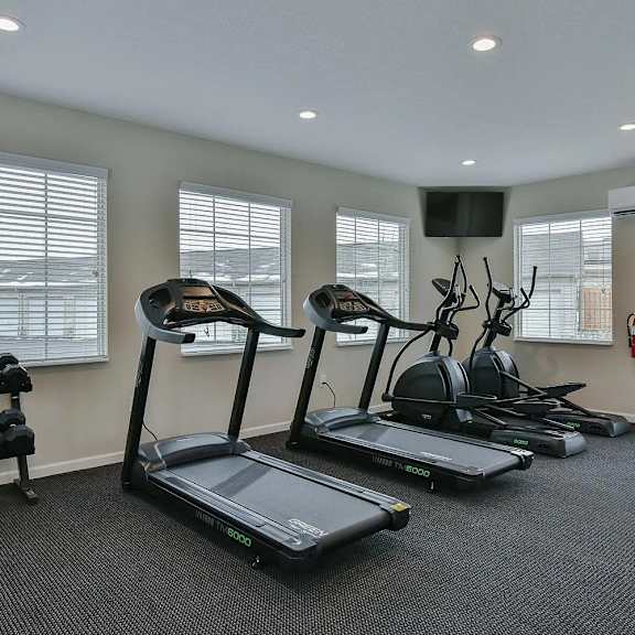the gym is equipped with treadmills and other exercise equipment