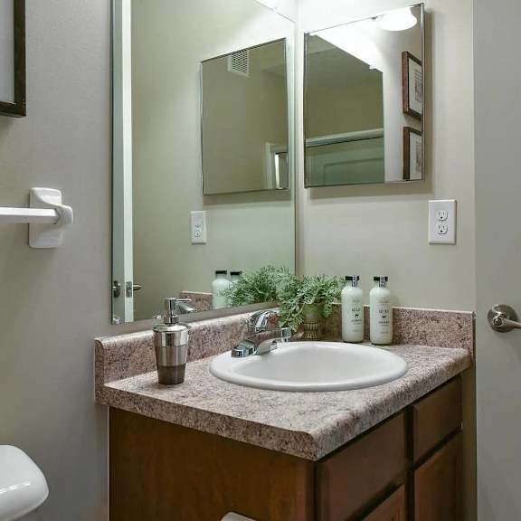 a bathroom with a sink and a mirror