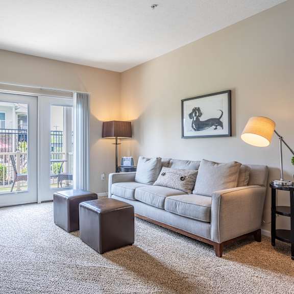 a living room with a grey couch, a coffee table, a lamp, and a painting of a dog.