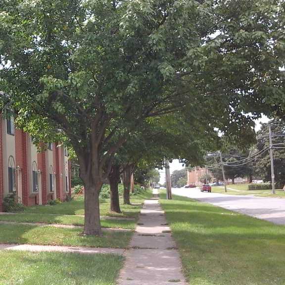 a row of houses on the side of a sidewalk