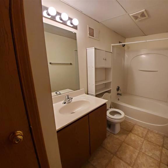 a bathroom with a sink and a toilet and a shower