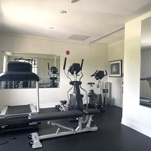 a well-equipped home gym with a variety of exercise machines.