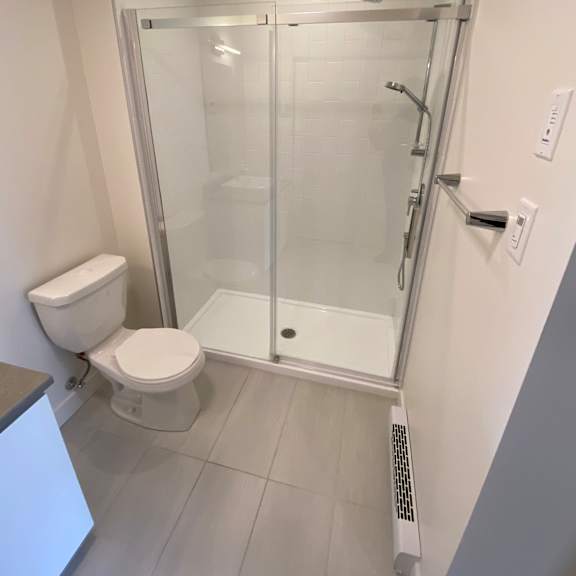 a white toilet sits next to a walk-in shower.