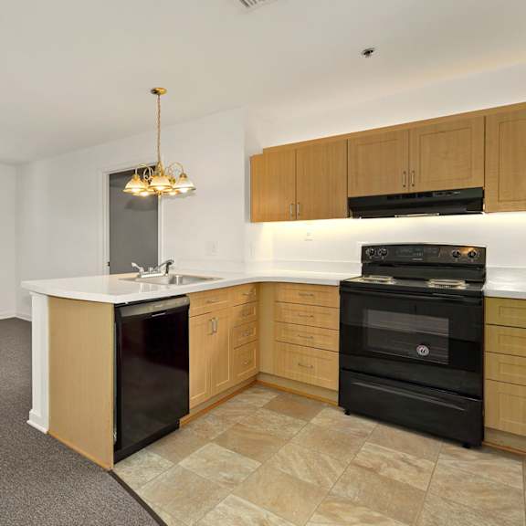 a kitchen with black appliances and wooden cabinets.